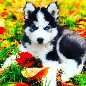 Meet your Posher, Marly